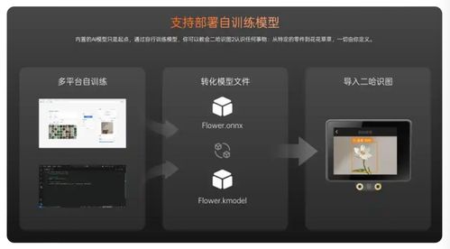 蘑菇云榮膺教育強(qiáng)國(guó)論壇2025年度科技創(chuàng)新教育品牌，以創(chuàng)新產(chǎn)品賦能人工智能通識(shí)教育與應(yīng)用軟件開發(fā)